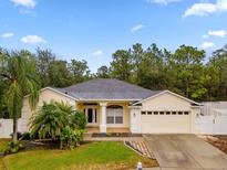 One-story house with a two-car garage and palm trees in the front yard at 14649 Deacon Ct, Spring Hill, FL 34609