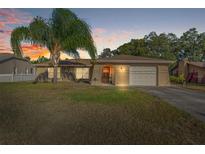 Single-story home with attached garage, palm tree, and well-maintained lawn at 1212 Newcomb Ave, Spring Hill, FL 34608