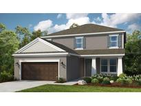 Two-story house with brown garage door and landscaped front yard at 715 Sky Shade Dr, Apollo Beach, FL 33572