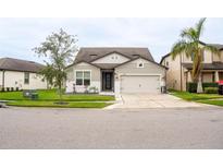 Two-story house with gray siding, two-car garage, and well-manicured lawn at 7465 Yale Harbor Dr, Wesley Chapel, FL 33545