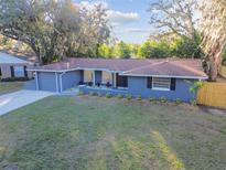 Newly painted blue house with a brown roof, landscaping, and a spacious yard at 7804 N Whittier St, Tampa, FL 33617