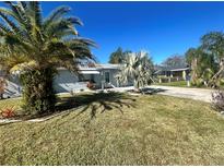 Ranch style home with palm trees and a well-manicured lawn at 2215 Riomar Dr, Holiday, FL 34691