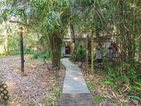 Wooden walkway leads to home through lush bamboo and foliage at 15577 Little Ranch Rd, Spring Hill, FL 34610