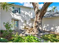 Inviting condo entrance with landscaped walkway, under large tree at 3276 38Th S Way # B, St Petersburg, FL 33711