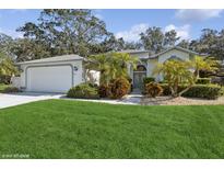 Single-story home with a two-car garage, mature landscaping, and a lush lawn at 5912 Willow Creek Ct, New Port Richey, FL 34655