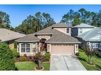 Charming two-story home with a two-car garage and landscaped yard at 7815 Blue Spring Dr, Land O Lakes, FL 34637