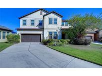 Two-story house with a large driveway and landscaped lawn at 11807 Cross Vine Dr, Riverview, FL 33579