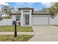 Modern one-story house with a white exterior, two-car garage, and landscaped front yard at 200 W Kirby St, Tampa, FL 33604
