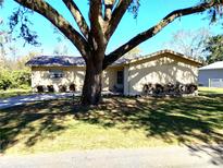 Ranch style home with mature landscaping and large shade tree at 906 Oakland Heights Ave, Plant City, FL 33563