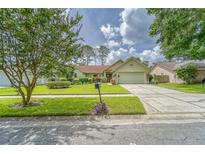 Single-story house with a green exterior, attached garage, and well-manicured lawn at 9719 Pleasant Run Way, Tampa, FL 33647