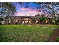 Brick house with a large front yard, walkway, and palm trees at 11201 Kerry Hills Ct, Riverview, FL 33569