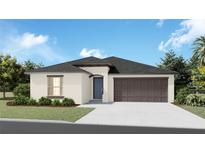 One-story home with dark brown garage door and landscaping at 12772 Tripoli Ave, Riverview, FL 33579