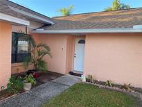 Peach-colored house with brown roof, landscaping, and a walkway at 5105 Garden Vale Ave, Tampa, FL 33624