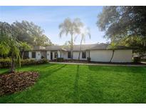 White brick ranch home with a large green lawn and mature palm trees at 15909 Amberly Dr, Tampa, FL 33647