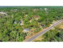 Aerial view of a triangular lot with trees and a house at 9920 Harney Rd, Thonotosassa, FL 33592