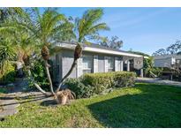 Gray house with palm trees, well-manicured lawn, and a carport at 116 S Hale Ave, Tampa, FL 33609