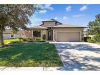 Single-story home with landscaped lawn and attached garage at 19710 Post Island Loop, Land O Lakes, FL 34638