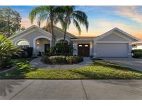 Single-story home with a two-car garage and well-manicured lawn at 9151 Rockrose Dr, Tampa, FL 33647