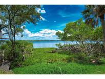 Lush greenery frames a tranquil waterfront view with a clear blue sky at 160 Bayshore Dr, Terra Ceia, FL 34250