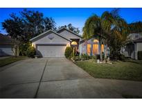 Well-maintained house with a landscaped yard and a two-car garage at 4704 Bear Claw Ct, Valrico, FL 33594