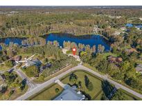 Beautiful aerial view of home on a spacious lot with lake frontage and mature trees creating a private setting at 905 Lake Fuller Dr, Lutz, FL 33548