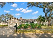 Single-story house with attached garage and manicured landscaping at 480 Winding Willow Dr, Palm Harbor, FL 34683