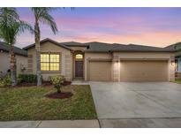 Two-story house with a two-car garage and landscaped lawn at 13911 Windy Knoll Dr, Riverview, FL 33579