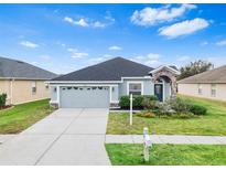 One-story house with gray siding, two-car garage, and landscaped yard at 4005 Langdrum Dr, Wesley Chapel, FL 33543