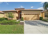 Single-story house with tan walls, a two-car garage, and lush landscaping at 127 Silver Falls Dr, Apollo Beach, FL 33572