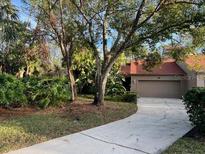 Condo exterior with driveway, garage, and landscaping at 10 Woodridge Cir, Oldsmar, FL 34677