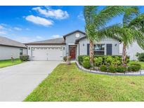Curb appeal abounds in this charming one-story home, featuring a well-manicured lawn and attractive facade at 11914 Wild Daffodil Ct, Riverview, FL 33579