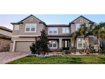 Two-story house with gray siding, landscaping, and a paved driveway at 19314 Eagle Creek Ln, Tampa, FL 33647