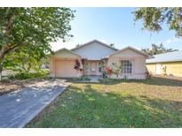 Single-story house with a pink garage door and well-maintained lawn at 11 Leaning Palm Ct, Plant City, FL 33563