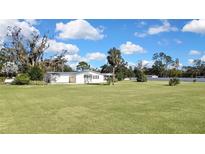 Spacious backyard with large grassy area and mature trees at 17403 Estes Rd, Lutz, FL 33548