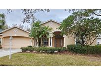 Tan house with a brown door and two palm trees in the front yard at 6013 Catlin Dr, Tampa, FL 33647