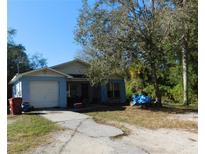 Light blue single story house with attached garage and large yard at 1211 Niagara St, Plant City, FL 33563