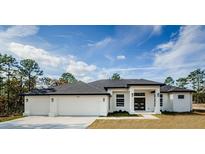 White single-story home with dark gray roof and double garage at 16117 Medrick Rd, Brooksville, FL 34614