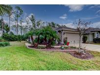 House exterior featuring a well-manicured lawn, palm trees, and a two-car garage at 5021 Gato Del Sol Cir, Wesley Chapel, FL 33544