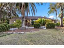 Front exterior view of a single-Gathering home with a landscaped yard and palm trees at 1304 N Jasmine Ave, Tarpon Springs, FL 34689