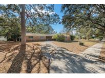 Ranch-style home with mature landscaping and a large yard at 3700 Dana Shores Dr, Tampa, FL 33634