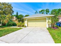 Charming one-story home featuring a two-car garage and lush landscaping with a well-manicured lawn at 10014 Cannon Dr, Riverview, FL 33578