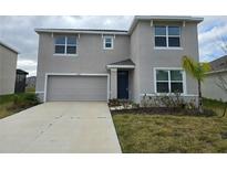 Two-story home with a two-car garage and landscaped front yard at 8379 Ender Hills Dr, Wesley Chapel, FL 33545