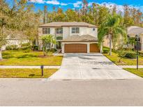 Two-story house with brown garage doors and a manicured lawn at 18801 Chaville Rd, Lutz, FL 33558