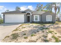 Gray house with white garage door, landscaping, and palm tree at 11224 Allwood St, Spring Hill, FL 34609