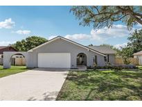 Charming single-story home features a manicured lawn, a gray exterior, and a two-car garage at 1009 Black Knight Dr, Valrico, FL 33594