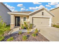 Attractive one-story home with a two-car garage and landscaped front yard at 1663 Hazy Sea Dr, Plant City, FL 33565