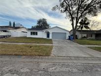 Newly renovated single-story home with a two-car garage and well-manicured lawn at 4828 Cypress Tree Dr, Tampa, FL 33624