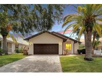 Charming single-story home with a brick-paved driveway and well-maintained landscaping, enhanced by the mature palm trees at 6208 Spoonbill Dr, New Port Richey, FL 34652