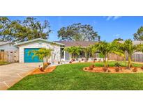 Charming single-story home with a well-manicured lawn and colorful tropical landscaping at 5529 11Th N Ave, St Petersburg, FL 33710