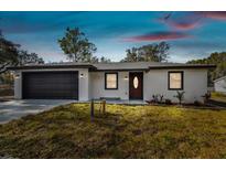 Newly constructed home with a modern facade and attached garage at 11650 County Road 579 Hwy, Thonotosassa, FL 33592